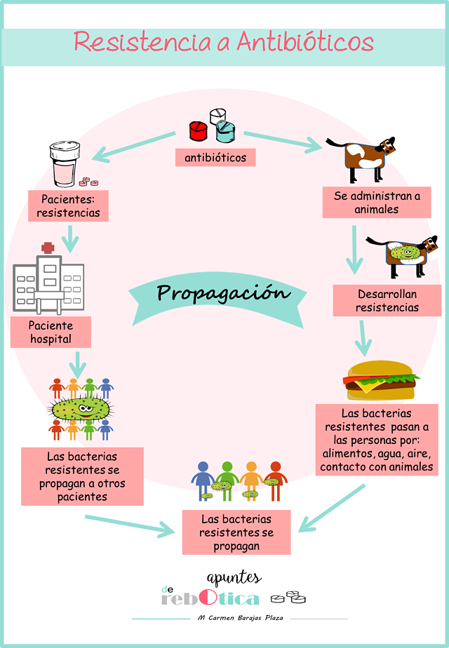resistenciaantibioticospropagación1
